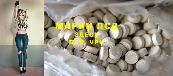 гидра Алексин