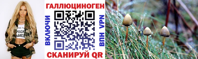 Галлюциногенные грибы мухоморы  Туймазы 